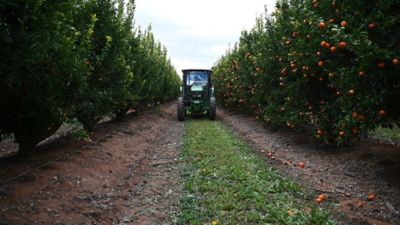 Tractor Mildura Citrus 